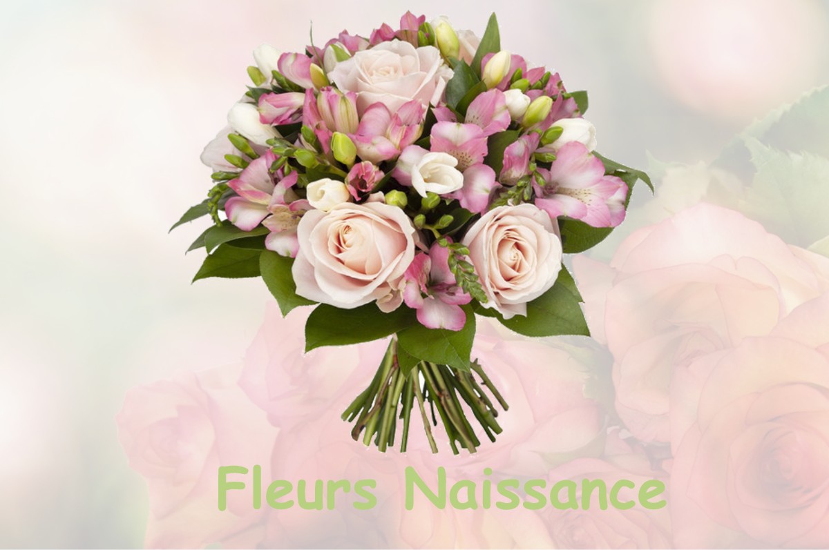 fleurs naissance LA-NEUVE-GRANGE